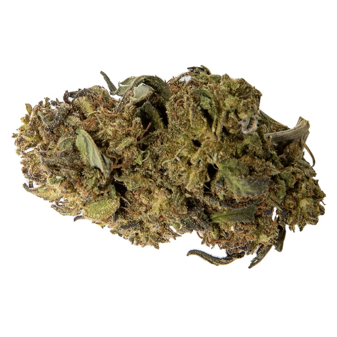 Dried flower